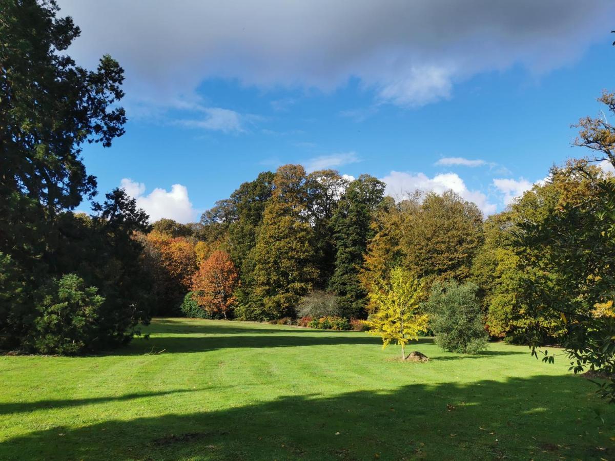 Chateau De Launay Guen Hotel Plemet Luaran gambar