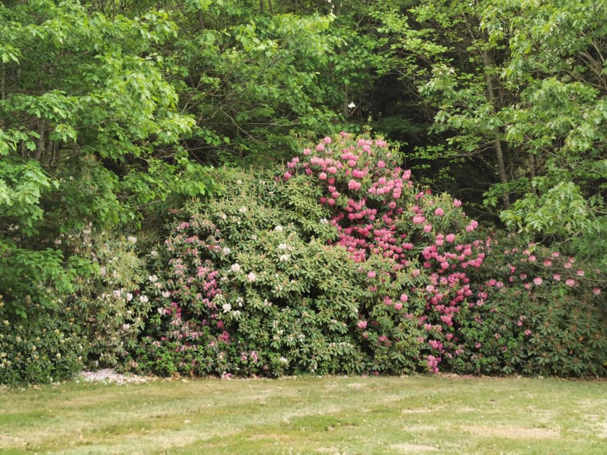 Chateau De Launay Guen Hotel Plemet Luaran gambar