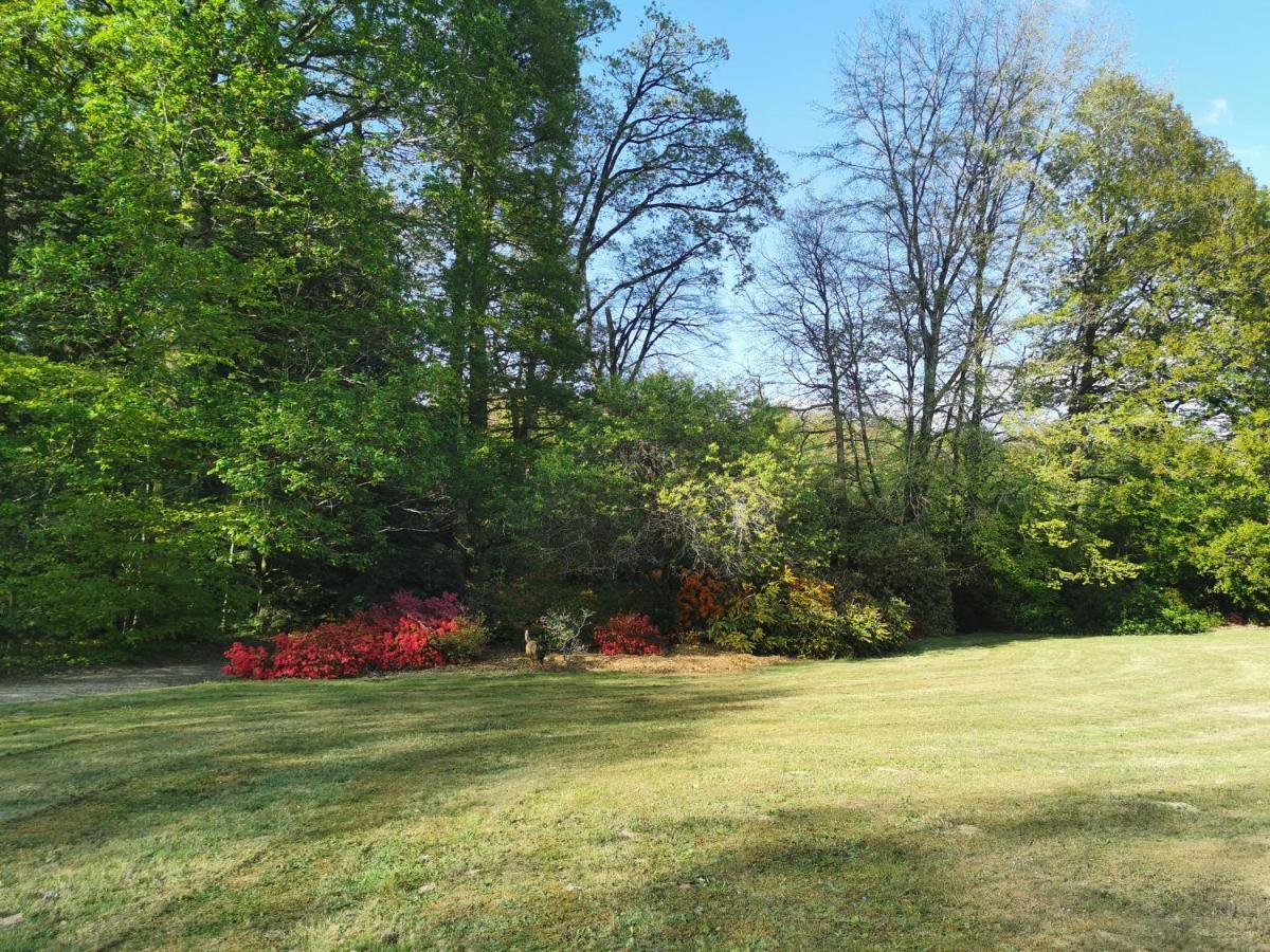 Chateau De Launay Guen Hotel Plemet Luaran gambar